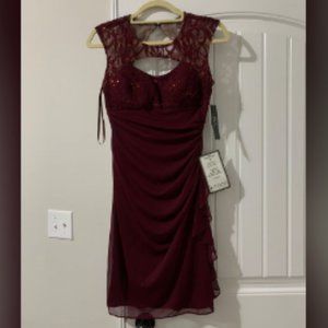 Plum Lace Illusion  Dress - NEW/Unworn